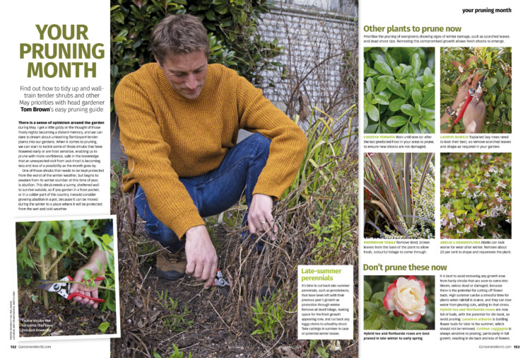 BBC Gardeners World May 2024 Magazine 2 for 1 Gardens Entry Card Offer - Pruning Guide