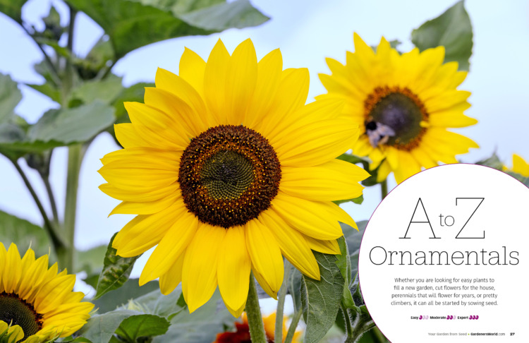 BBC Gardeners’ World Guide: Your Garden from Seed - Image 2