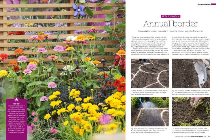 BBC Gardeners’ World Guide: Your Garden from Seed - Image 2