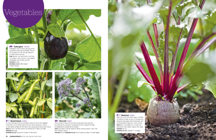 BBC Gardeners’ World Guide: Your Garden from Seed - Image 2
