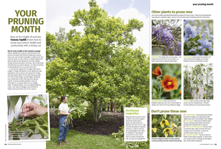 BBC Gardeners World Magazine July 2024 - Image 2