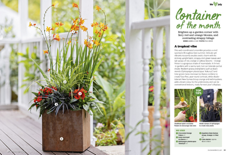 BBC Gardeners World Magazine July 2024 - Image 2
