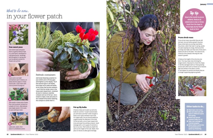 BBC Gardeners World Guide Year Planner 2025 - Image 2