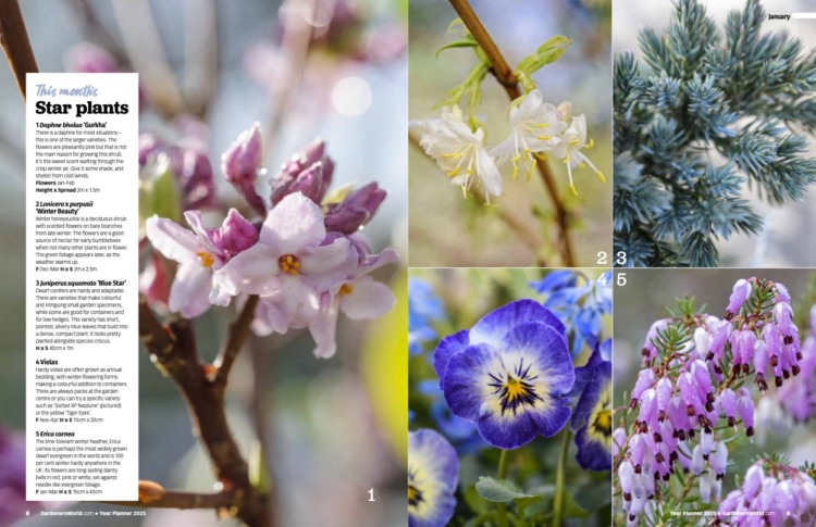 BBC Gardeners World Guide Year Planner 2025 - Image 2