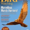 Bird Watching Magazine July 2024