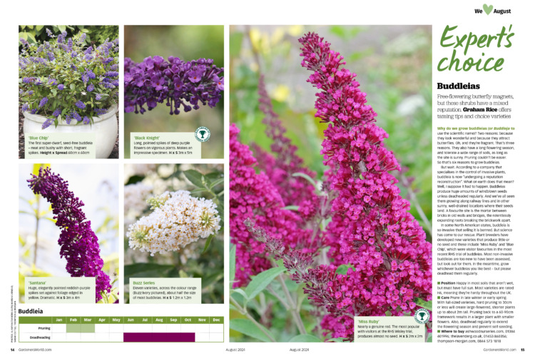 BBC Gardeners' World Magazine August 2024 - Image 2