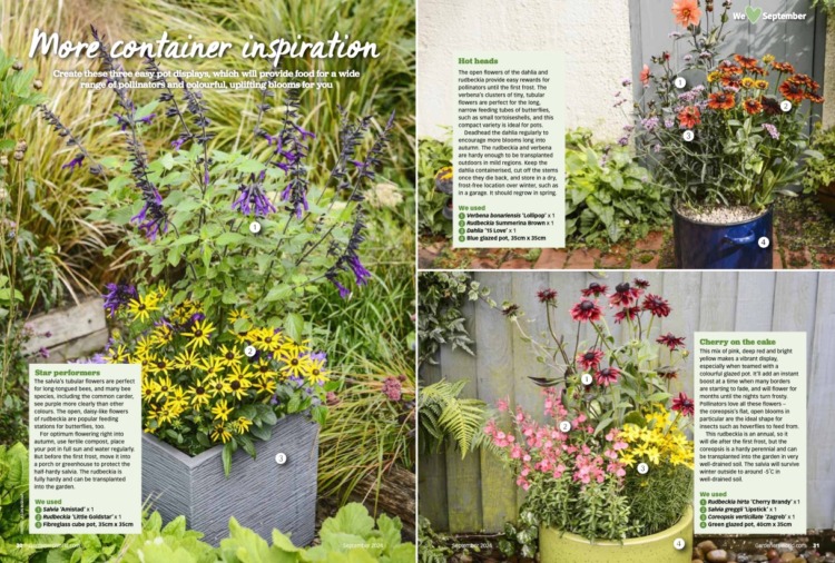 BBC Gardeners World Magazine September 2024 - Image 2