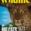 BBC Wildlife Magazine September 2024 Issue 521