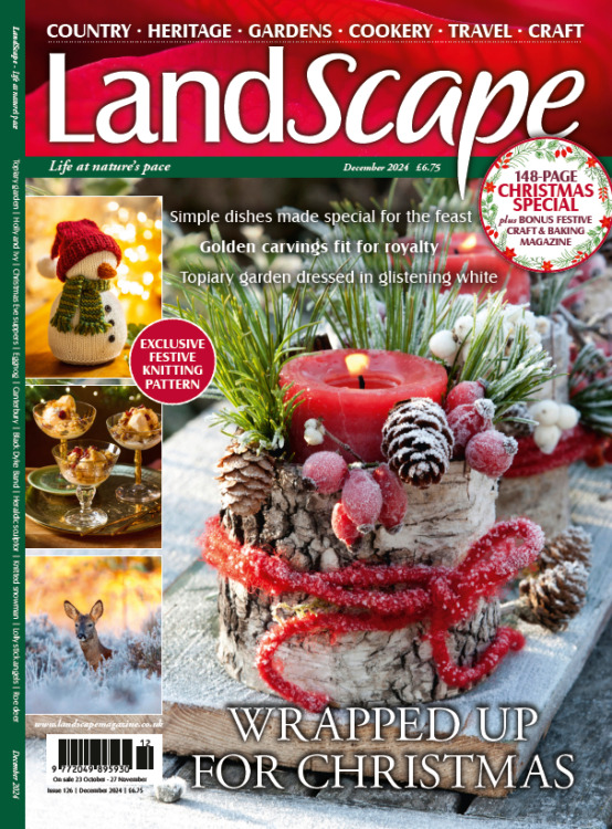 LandScape Magazine December 2024