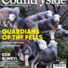 Countryside Magazine November 2024
