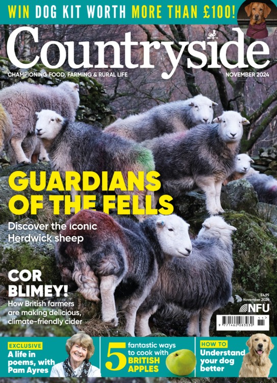 Countryside Magazine November 2024