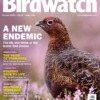 Bird Watching Magazine October 2024