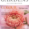 Gardens Illustrated Magazine 345