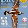 Bird Watching Magazine November 2024