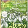 Dorset Magazine February 2025