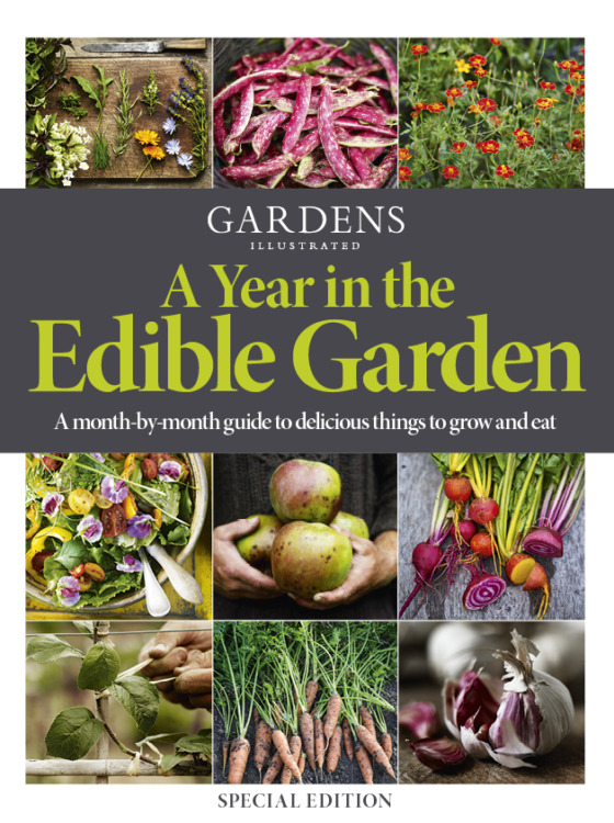 Gardens Illustrated Annual Magazine 2025 - A Year in the Edible Garden