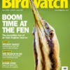 Bird Watching Magazine June 2025