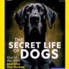 National Geographic Collectors Edition Magazine Secretdogs