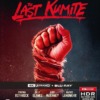 The Last Kumite DVD – 4K UHD & Blu-Ray Steelbook