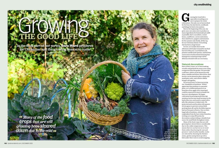 BBC Gardeners World Magazine December 2025 Growing the Good Life
