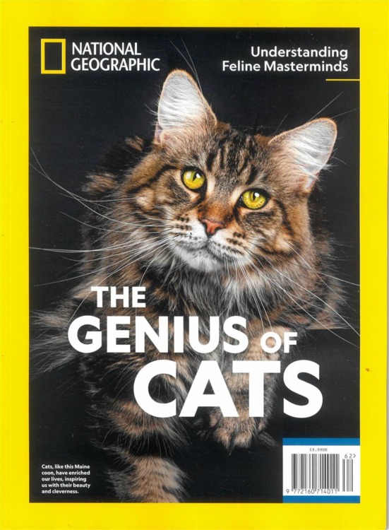 National Geographic Collectors Edition Magazine Genius Cats