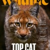 BBC Wildlife Magazine March 26/540
