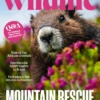 BBC Wildlife Magazine February 2026 Issue 539