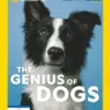 National Geographic Special Magazine Genius Dogs