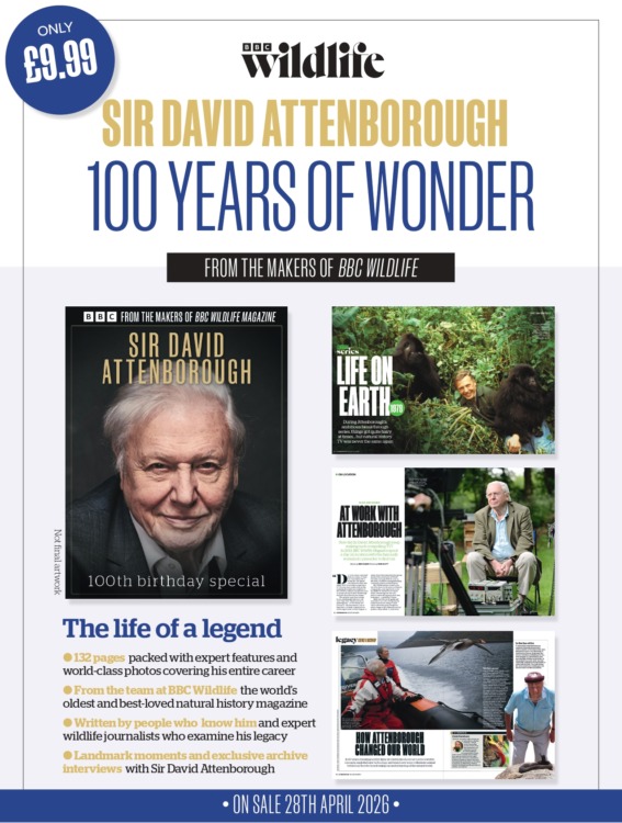 Sir David Attenborough -100 Years of Wonder Magazine