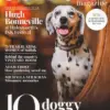 Suffolk Magazine March 2026