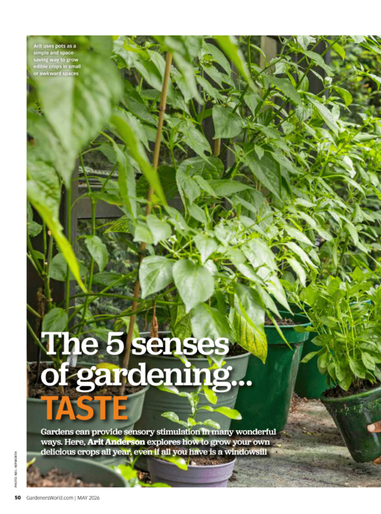 BBC Gardeners World May 2 for 1 Inside Page The 5 senses of gardening taste 1