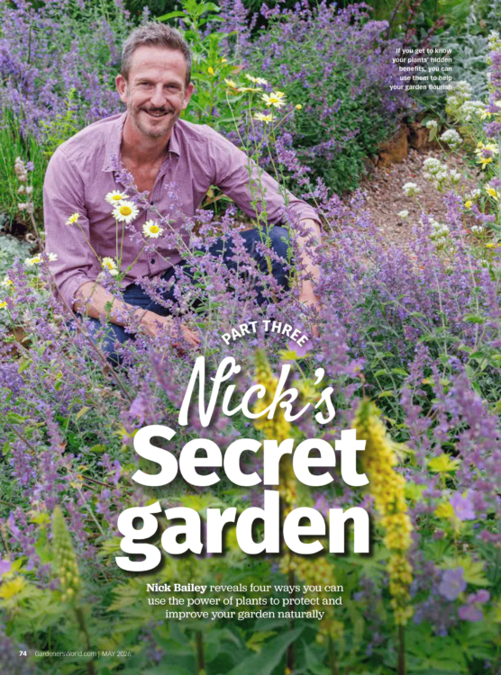 BBC Gardeners World May 2 for 1 Inside Page Understanding Plant 1