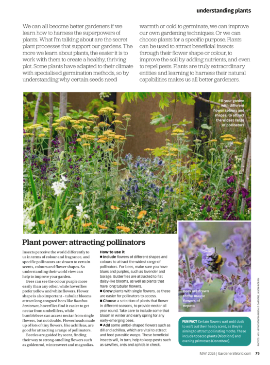 BBC Gardeners World May 2 for 1 Inside Page Understanding Plant 2